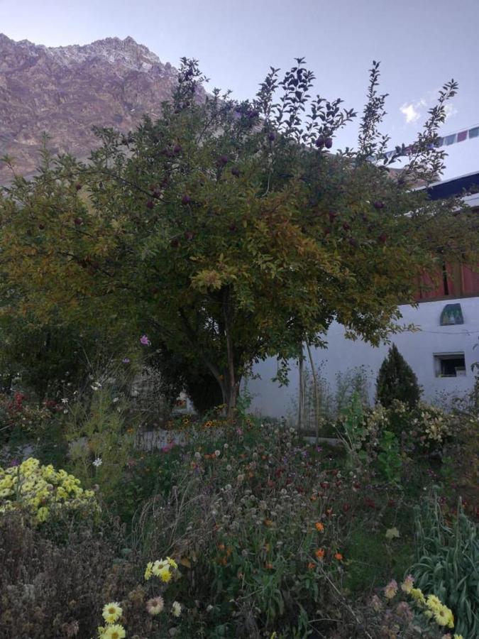 Sernang Homestay Hundar Extérieur photo