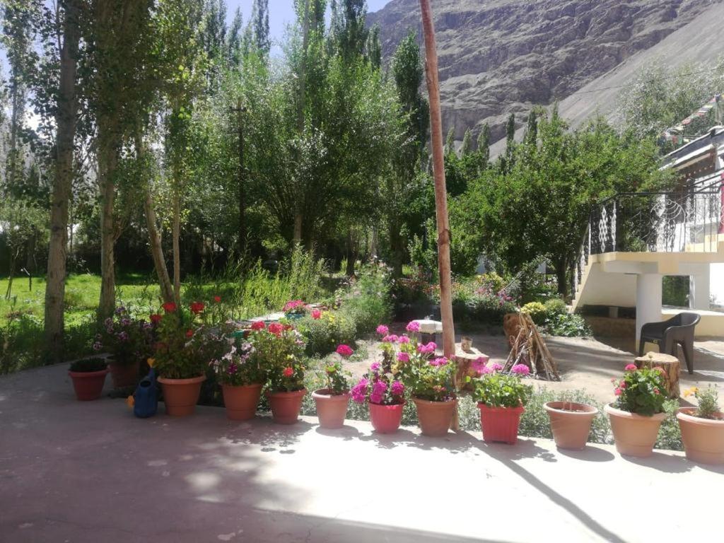 Sernang Homestay Hundar Extérieur photo